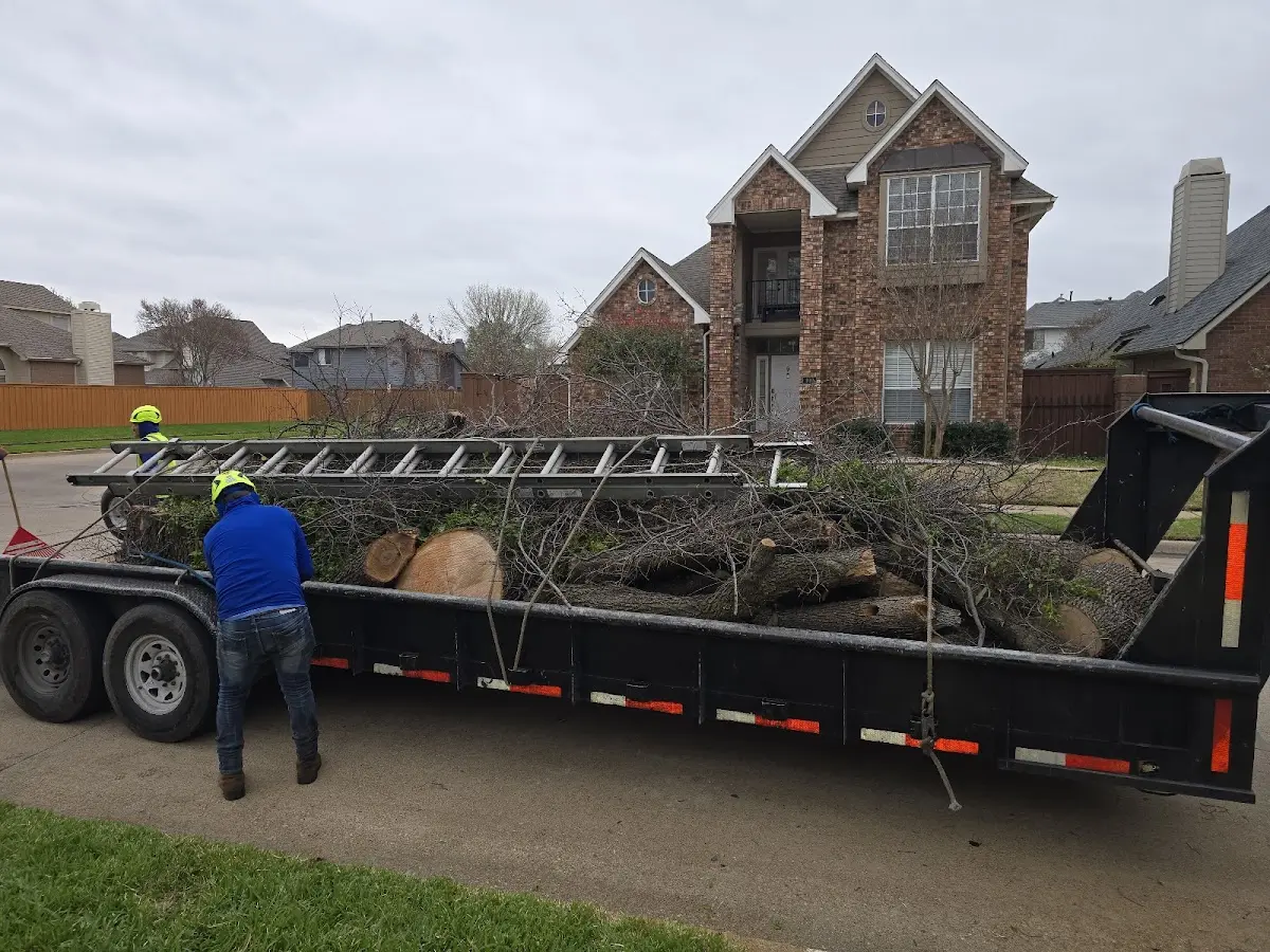 Expert Tree Fertilization with proper safety equipment in Crabtree
